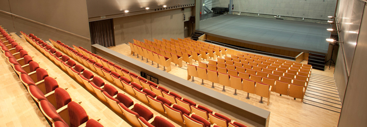 Institut del Teatre