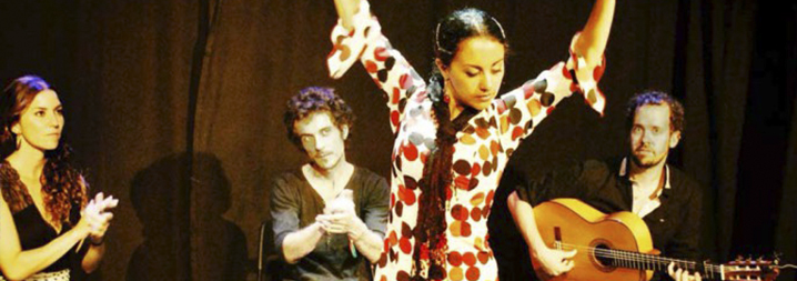 Noche de flamenco