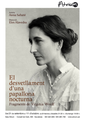 El desvetllament d’una papallona nocturna
