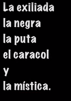 La exiliada, la negra, la puta, el caracol y la mística (periferias)