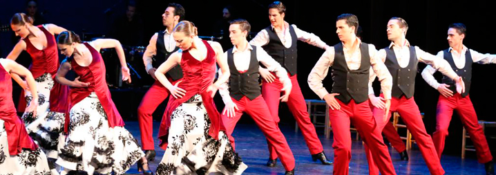 Flamenco de Vino y Rosas