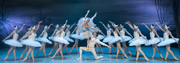 Sant Petersburg Festival Ballet: El llac dels cignes