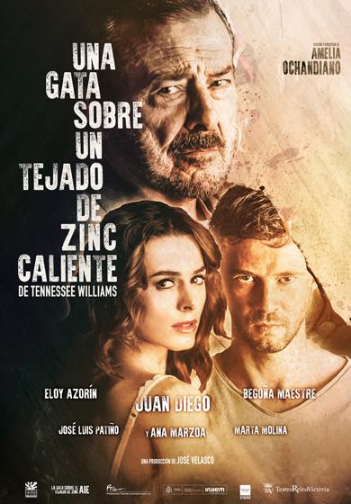 Juan Diego: Una gata sobre un tejado de zinc caliente → Teatre-Auditori Sant Cugat