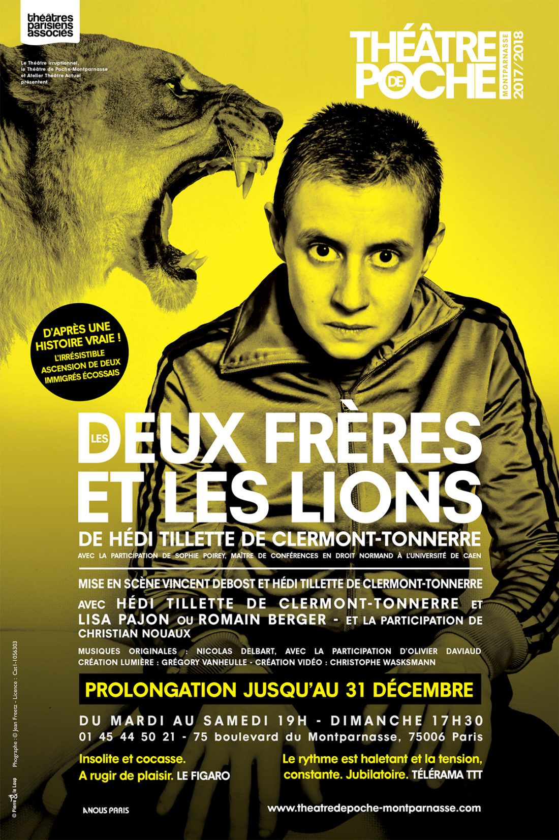 Les deux frères et les lions