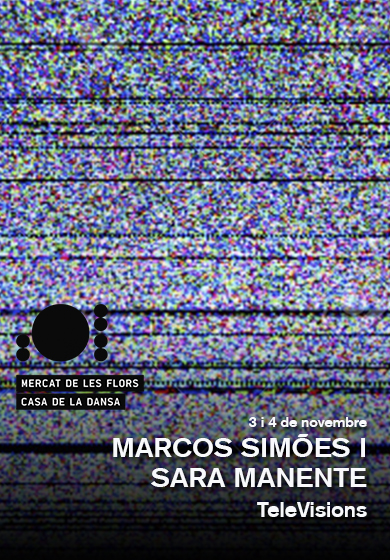 TeleVisions → Mercat de les Flors