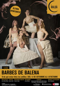 Barbes de balena