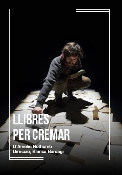 Llibres per cremar