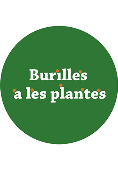 Burilles a les plantes
