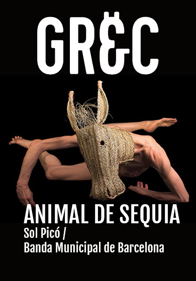 Sol Picó: Animal de séquia