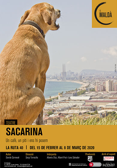 Sacarina