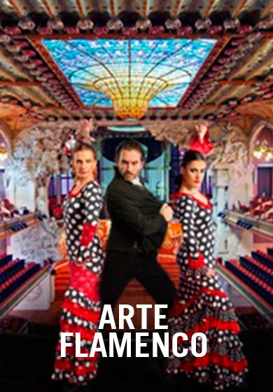 Arte flamenco