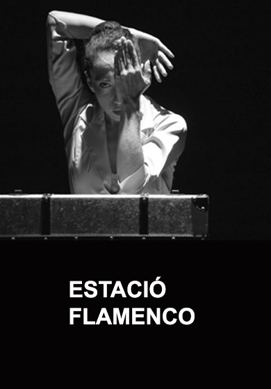 Estació flamenco