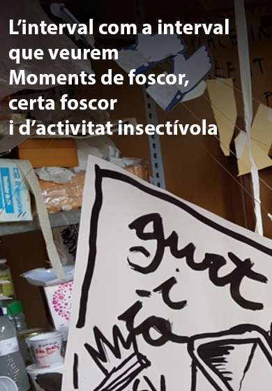 L'interval com a interval que veurem / Moments de foscor, certa foscor i d'activitat insectívola