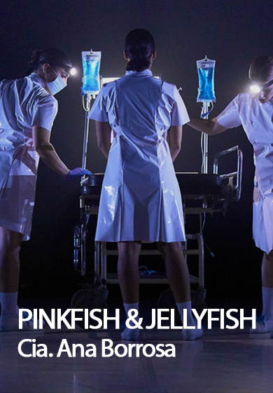 Pinkfish & Jellyfish
