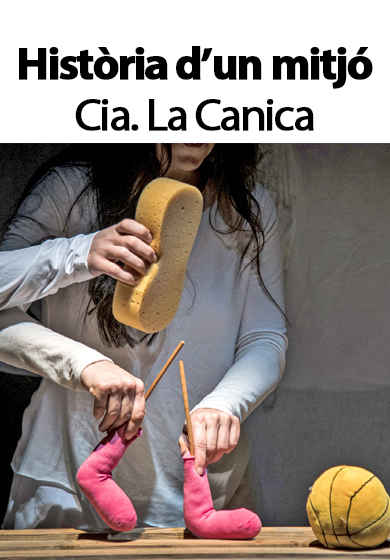 Història d'un mitjó