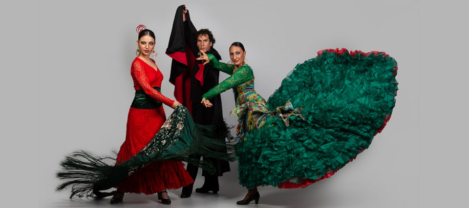 Diversitat flamenca