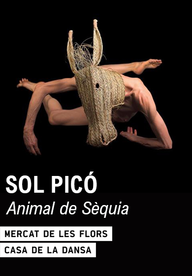 Sol Picó: Animal de séquia → Mercat de les Flors