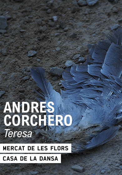 Andrés Corchero: Teresa → Mercat de les Flors