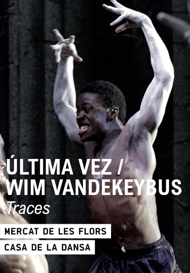 Última vez / Wim Vandekeybus: Traces → Mercat de les Flors