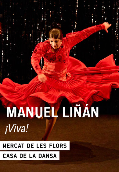 Manuel Liñán: ¡Viva! → Mercat de les Flors