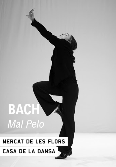 Malpelo: Bach → Mercat de les Flors