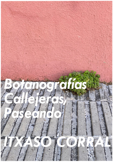 Itxaso Corral: Botanografías Callejeras, Paseando