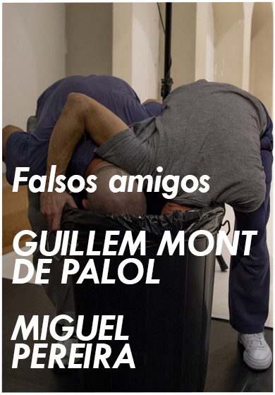 Falsos amigos