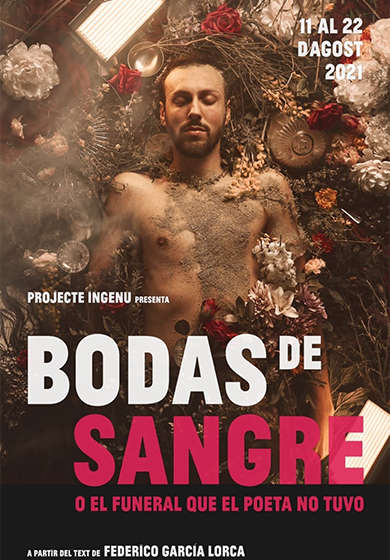 Bodas de sangre