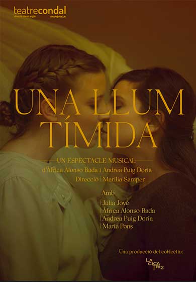 Una llum tímida