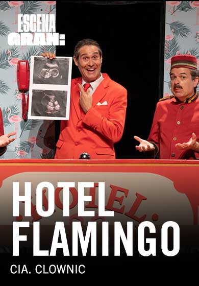 Clownic: Hotel Flamingo