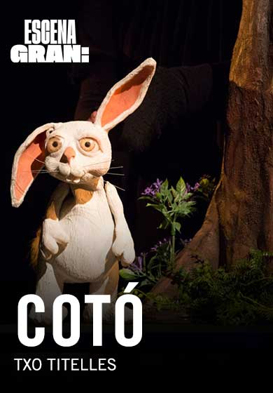 Cotó