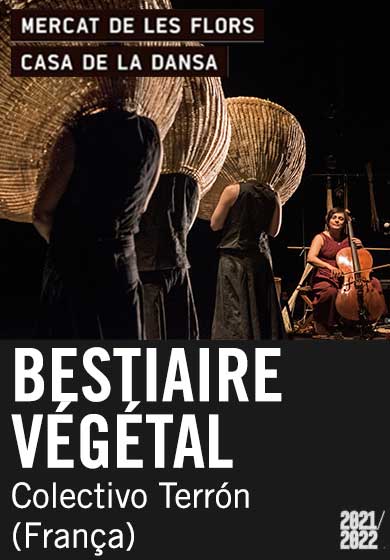 Bestiaire végétal → Mercat de les Flors