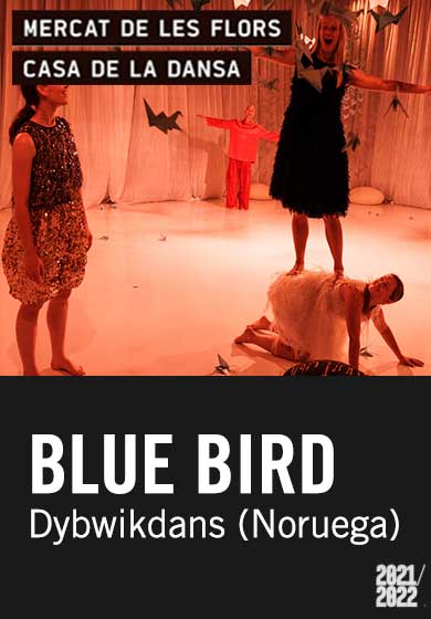 Blue Bird → Mercat de les Flors