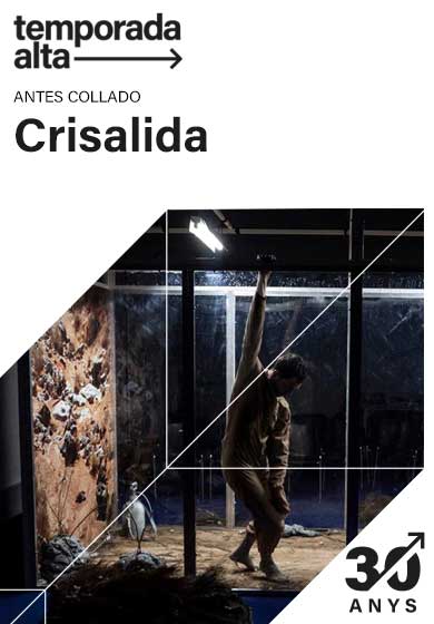 Antes Collado: Crisálida → La Mercè. Centre Cultural
