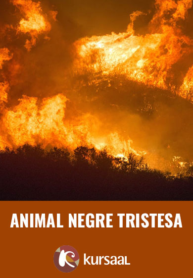 Animal negre tristesa