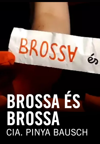 BROSS∀ és BROSSA → Centre de les Arts Lliures
