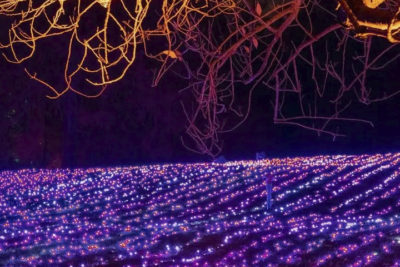 Els llums de sant pau al Recinte modernista entrades