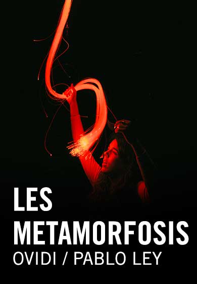 Les metamorfosis