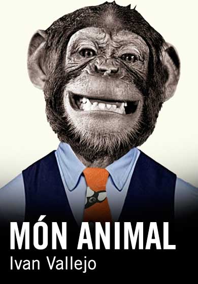 Món animal