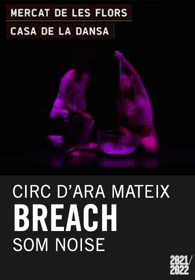 Som Noise: Breach