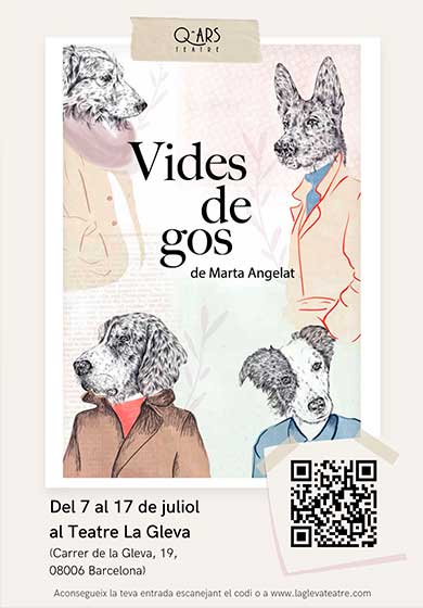 Vides de gos