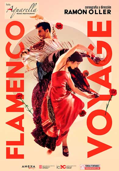 Flamenco voyage