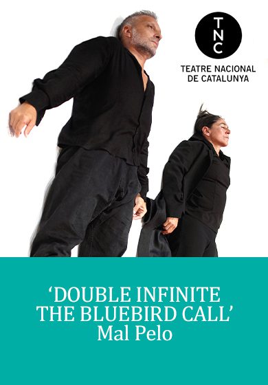 Mal pelo: Double infinite. The bluebird call