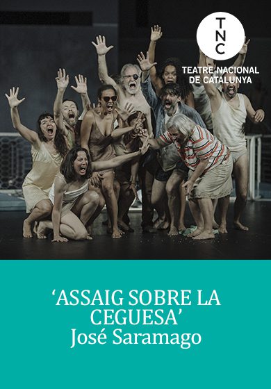 Assaig sobre la ceguesa