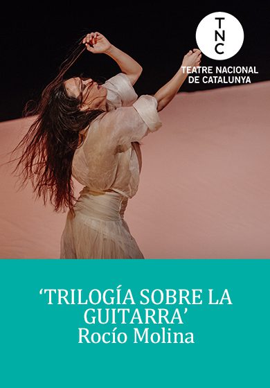 Trilogía sobre la guitarra