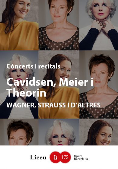 Concert Davidsen, Meier i Theorin