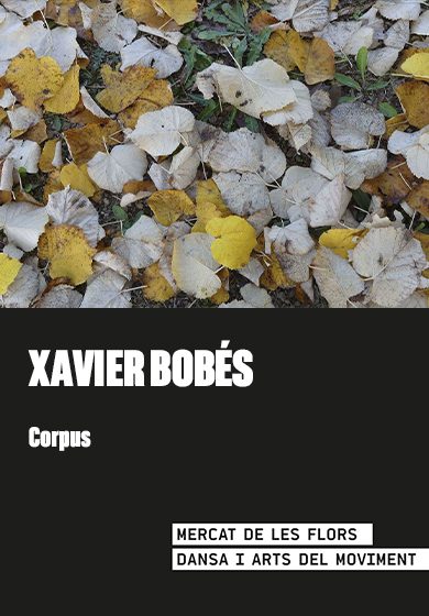 Xavier Bobés: Corpus