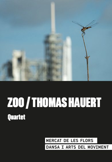 ZOO: Quartet