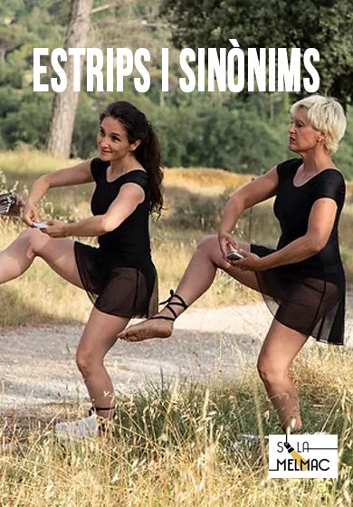 Estrips i sinònims