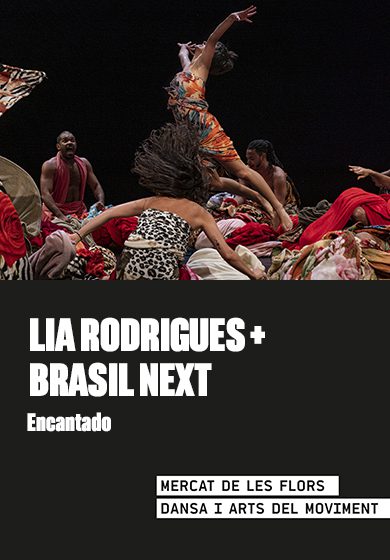 Lia Rodrigues Companhia de Danças: Encantado